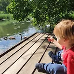Сasa de vacaciones Duna Pearl *
