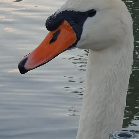 Casa de Férias Duna Pearl *