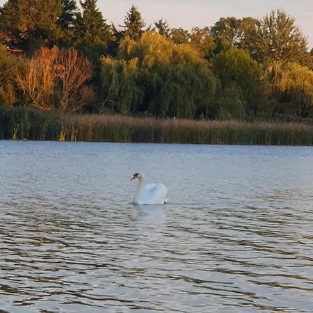 Duna Pearl Casa de Férias