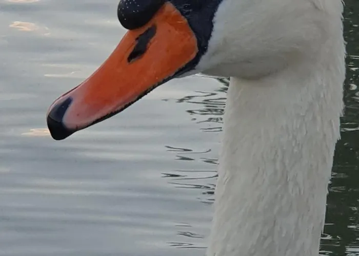 Holiday home Duna Pearl *