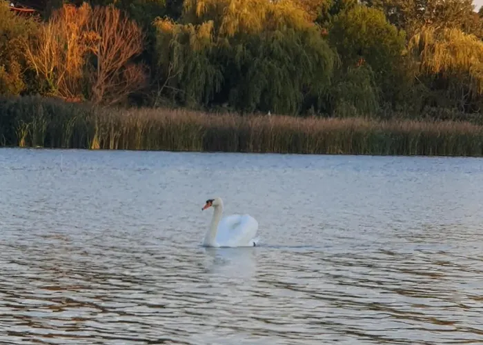 Duna Pearl Holiday home